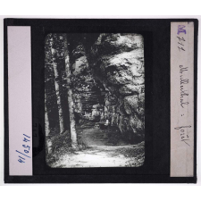 Luxembourg. Mullerthal : forêt.