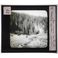 Forêts de France. Feuillus et résineux. Les sources du Doubs à Mouthe. Sapinière communale n°2.