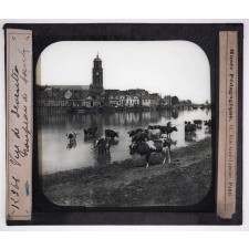 Hollande. Vue de Deventer. Troupeau de bœufs.