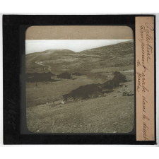 Les Hébreux. Palestine. Campement arabe dans le désert de Juda.