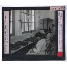 Sérothérapie. Préparation des divers sérums de l'Institut Pasteur de Paris. Capsulage des flacons du sérum.
