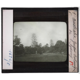 Australie. Série I. Géographie physique et indigènes. Jardin Botanique de Sydney.