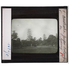 Australie. Série I. Géographie physique et indigènes. Jardin Botanique de Sydney.