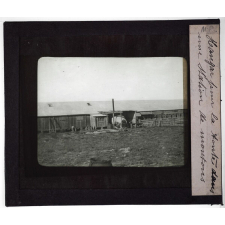 Australie. Hangar pour la tonte dans une station de moutons.