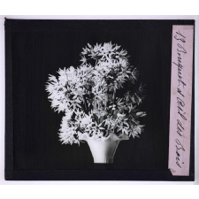 L'Art à l'école, décoration par les fleurs de printemps. Bouquet d'ail des bois.
