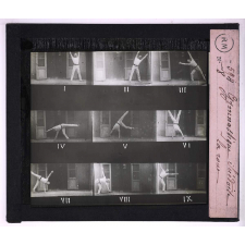 Education physique. La gymnastique. Gymnastique suédoise, la roue.