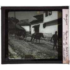 Yougoslavie. Sarajevo. Maison de bois et convoi de chevaux.