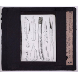 L'Homme préhistorique. Silex et bois de renne travaillés, trouvés dans les cavernes du Périgord. 