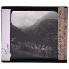 Norvège, la côte et les fjords. La fenaison à Hardanger.