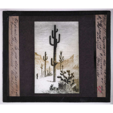 La Plante. Paysage du Mexique. Un Opuntia et des Cierges géants.