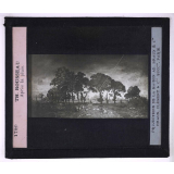 Paysagistes français. Th. Rousseau. Après la pluie.