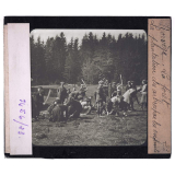 Norvège, la forêt. La plantation des arbres par les enfants.