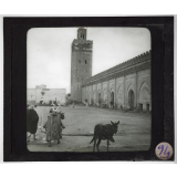 Sud Maghreb (Algérie/Maroc). 