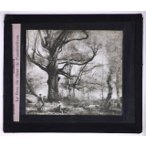 Paysagistes français. Corot. Le Gros du chêne de Fontainebleau.