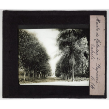 Tahiti. Route de Mataiea à Papéari.