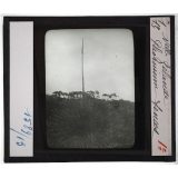 Nouvelle-Zélande et Tasmanie. Série I Géographie physique et population. Phornium Tenax.