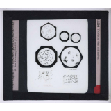 Sérothérapie. Préparation des divers sérums de l'Institut Pasteur de Paris. Tableau des microbes.