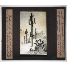 Les Plantes. Paysage de Mexique avec un Opuntia et des Cierges géants.