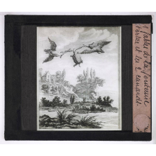 Fables de La Fontaine. 3e partie. La tortue et les 2 canards.