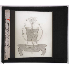 La Culture des plantes d'appartement. Arrosage automatique par capillarité.