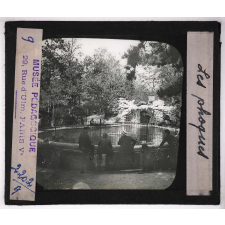 Jardins zoologiques. Les phoques.