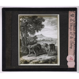 Fables de La Fontaine. 2e partie. Le loup et le chien.