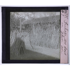 Fabrication des cannes. Séchage du bois en plein air.