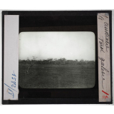Australie. Série I. Géographie physique et indigènes. Forêt galerie.