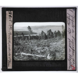 Le Bois et les produits de la forêt, industries forestières. Dégâts de l'ouragan de janvier 1896 forêt de Thézilleu.