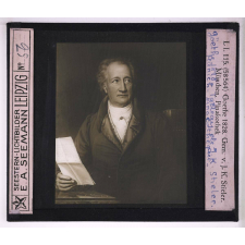 Goethe (II). Goethe 1828. Gem. v. J.K. Stieler. München Pinakothek. Goethe 1828. Tableau de J.K. Stieler. Munich Pinacothéque.