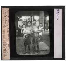 Race Jaune. Siam Bangkok une famille siamoise.