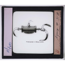 Respiration. Pneumographe de Marey.