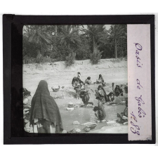 Algérie, Tunisie, Maroc. Oasis de Gabès.