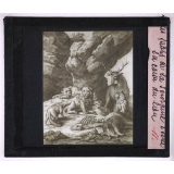 Fables de La Fontaine. 1ere partie. La cour du lion.