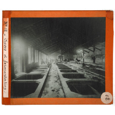 Algérie, agriculture. Cuves à fermentation.
