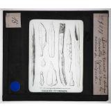 Ère quaternaire, ustensiles, nature, fossiles. Bois de renne et silex travaillés trouvés dans les cavernes du Périgord.