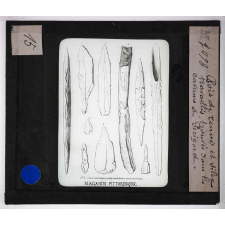 Ère quaternaire, ustensiles, nature, fossiles. Bois de renne et silex travaillés trouvés dans les cavernes du Périgord.