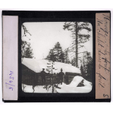 Norvège, la forêt. Un chalet dans la forêt.