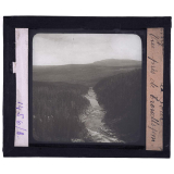Norvège, la forêt. Vue près de Trondlsjem.