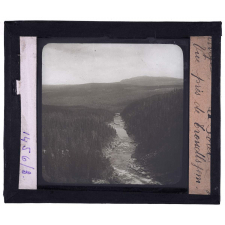 Norvège, la forêt. Vue près de Trondlsjem.
