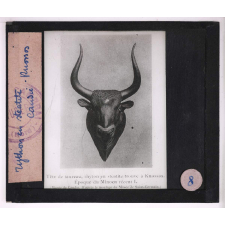 Art créto-mycénien. Rhyton en stéatite, Knossos, Candie.