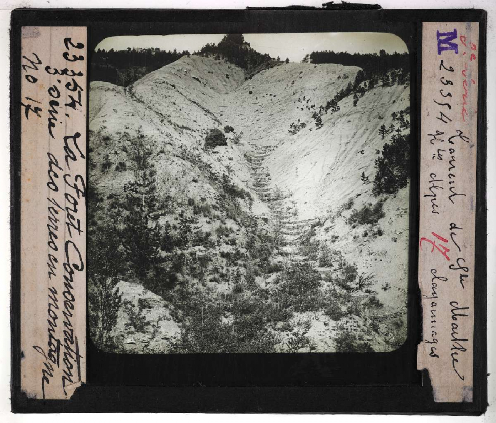 Conservation des terres en montagne et sur les pentes. Action de la forêt sur le sol et sur le régime des eaux, pâturages, prés, bois, correction des torrents. Torrent de Sainte-Marthe (Hautes-Alpes). Clayonnages.