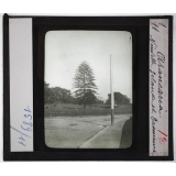 Nouvelle-Zélande et Tasmanie. Série I Géographie physique et population. Araucaria.
