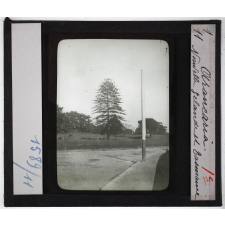 Nouvelle-Zélande et Tasmanie. Série I Géographie physique et population. Araucaria.