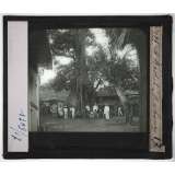 Le Dahomey. Géographie physique - Flore et faune. Le Baobab.