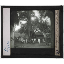 Le Dahomey. Géographie physique - Flore et faune. Le Baobab.