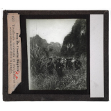 Tonkin. Tirailleurs tonkinois et légionnaires en reconnaissance dans la jungle.