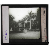 L'Ile de la Réunion : géographie physique, politique et économique. Jardin botanique, St Denis.