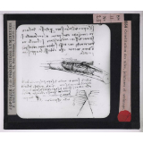 L'Art de voler chez nos ancêtres - Léonard de Vinci, constructeur d'aéroplanes. Constitution des ailes, jointures et arrimage.