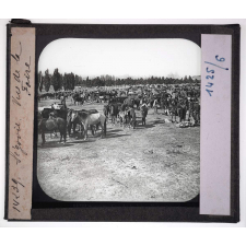 Espagne, ses Castilles. Ségovie. Vue de la Foire.